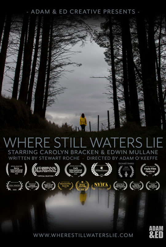 Where Still Waters Lie film poster