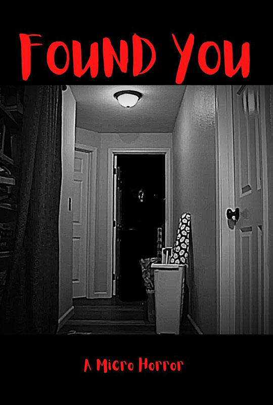 FOUND YOU film poster